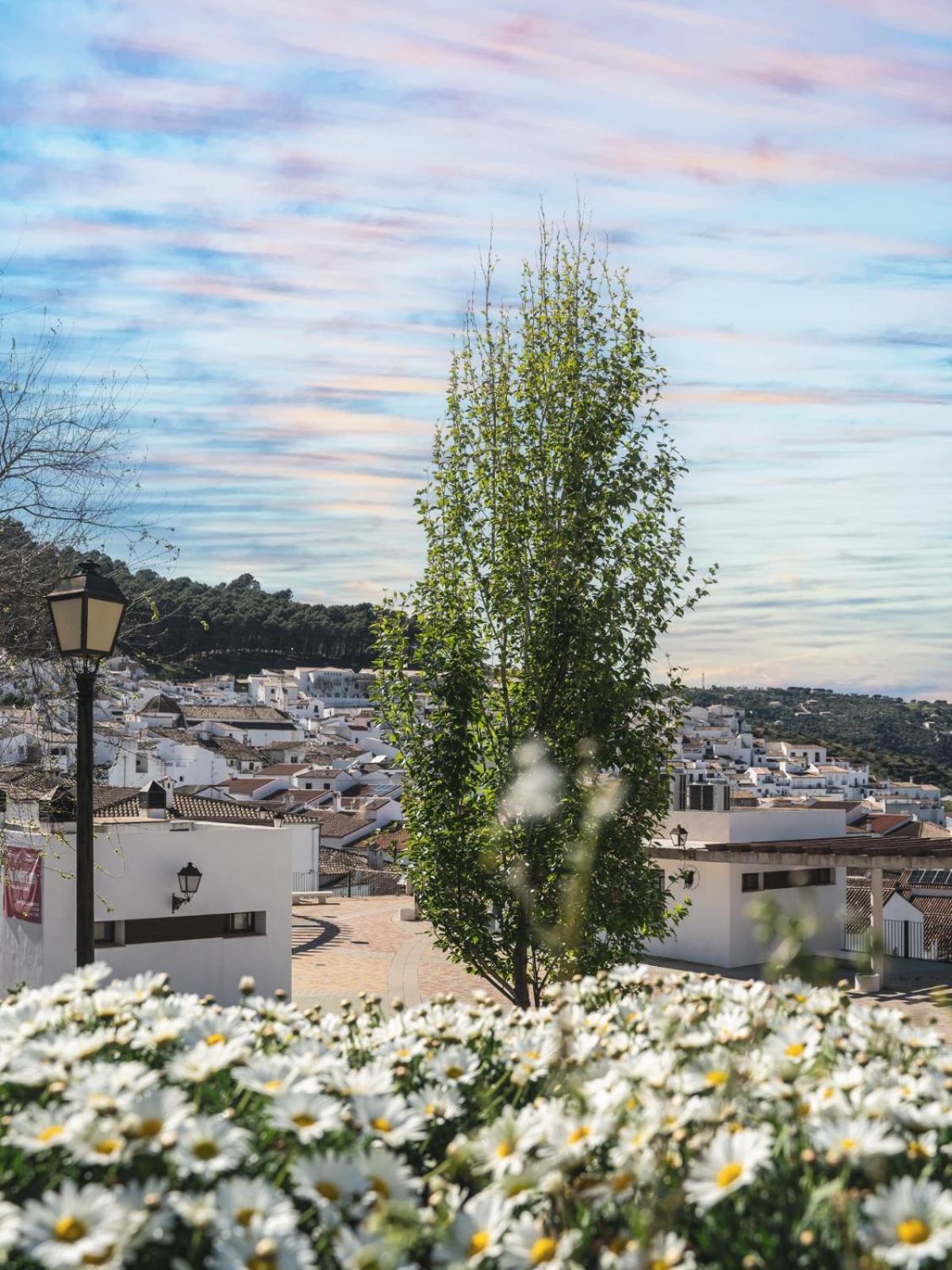 Apartmán Salati El Gastor Exteriér fotografie